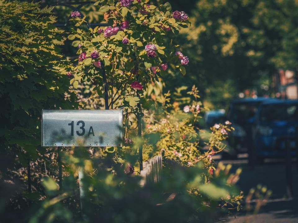 Metal mailbox numbered 13A on a post among rose bushes beside a quiet street